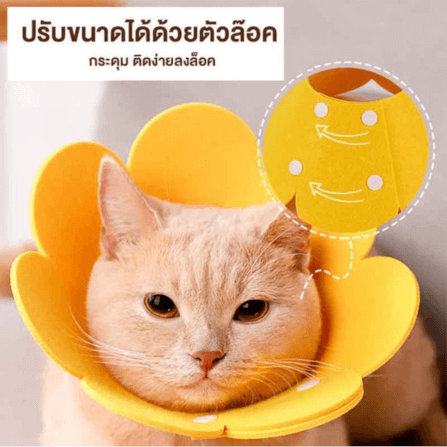 คอลล่าแมว ปลอกคอกันแมวเลีย THAI SUN SPORT รุ่น PET0026_1